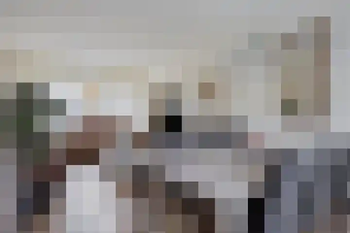 Vrijheidslaan 20 Brakel thumbnail 12