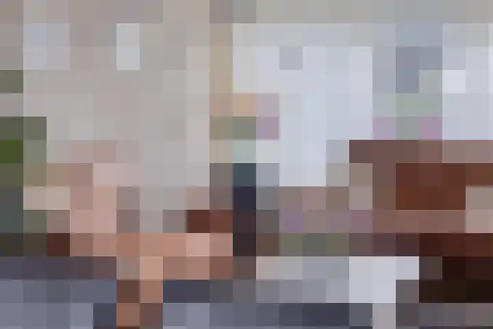 Vrijheidslaan 20 Brakel thumbnail 13