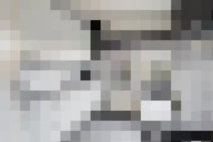 Vrijheidslaan 20 Brakel thumbnail 14