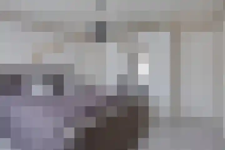 Vrijheidslaan 20 Brakel thumbnail 19