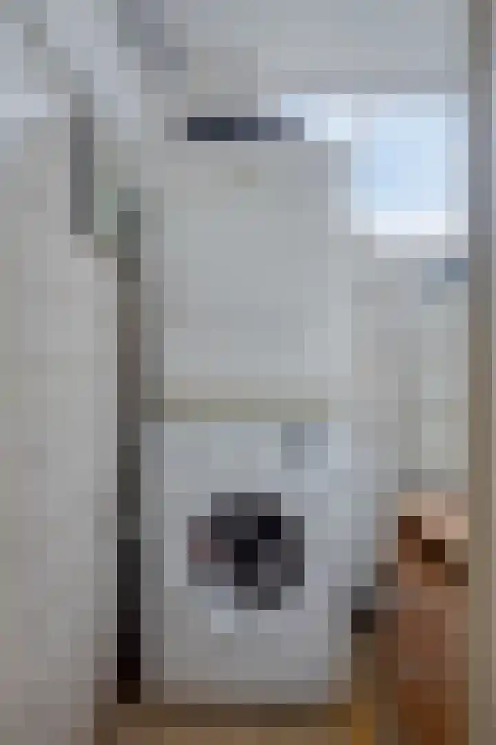 Vrijheidslaan 20 Brakel thumbnail 24