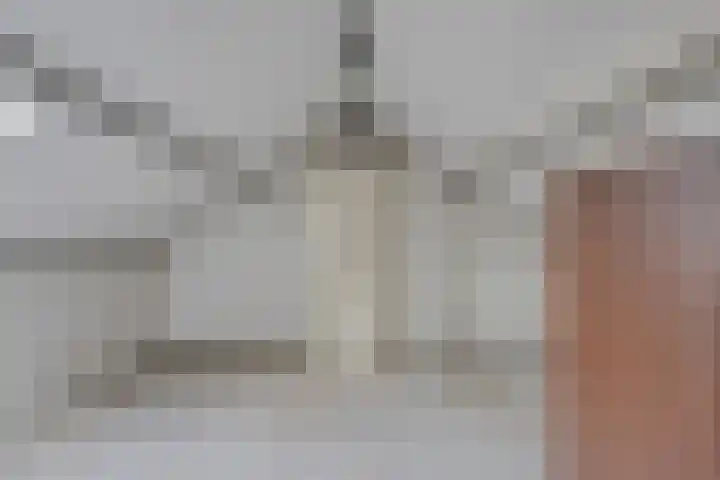 Vrijheidslaan 20 Brakel thumbnail 26