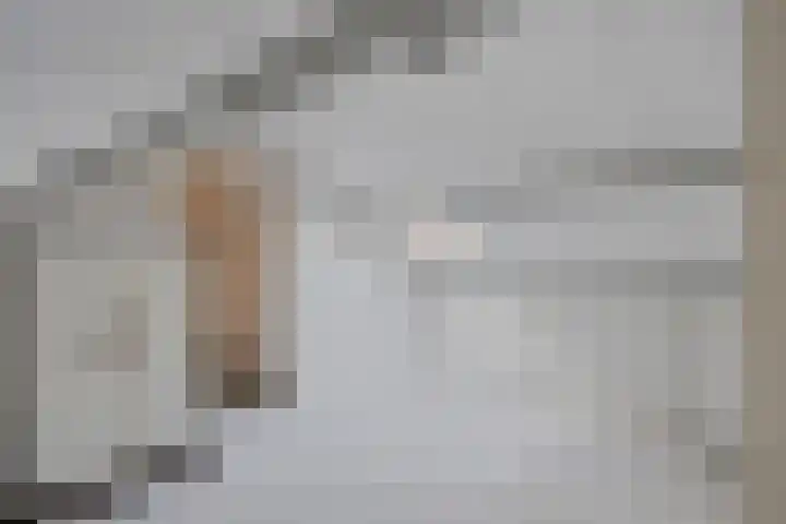 Vrijheidslaan 20 Brakel thumbnail 27