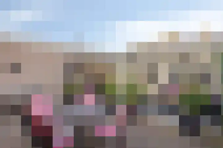 Vrijheidslaan 20 Brakel thumbnail 29