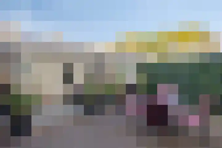 Vrijheidslaan 20 Brakel foto 3