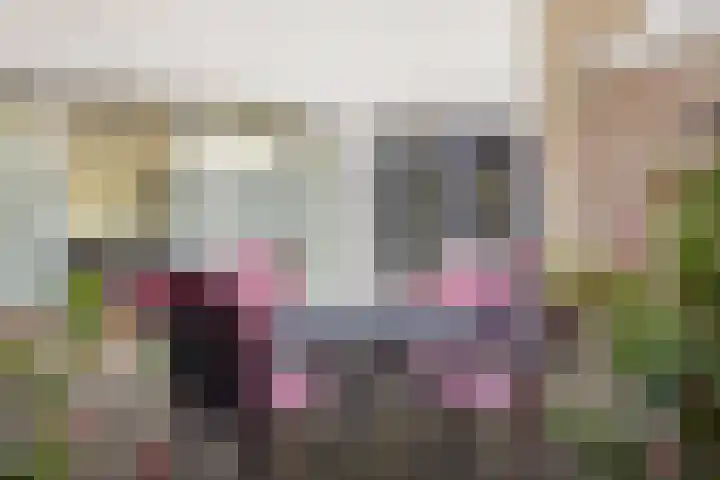 Vrijheidslaan 20 Brakel thumbnail 30