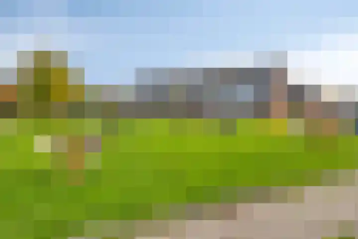 Vrijheidslaan 20 Brakel thumbnail 34