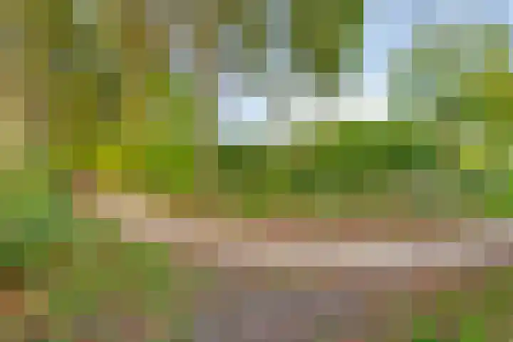 Vrijheidslaan 20 Brakel thumbnail 35