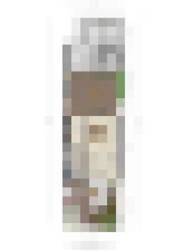 Vrijheidslaan 20 Brakel thumbnail 36