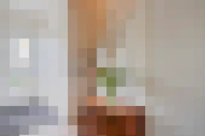 Vrijheidslaan 20 Brakel thumbnail 6