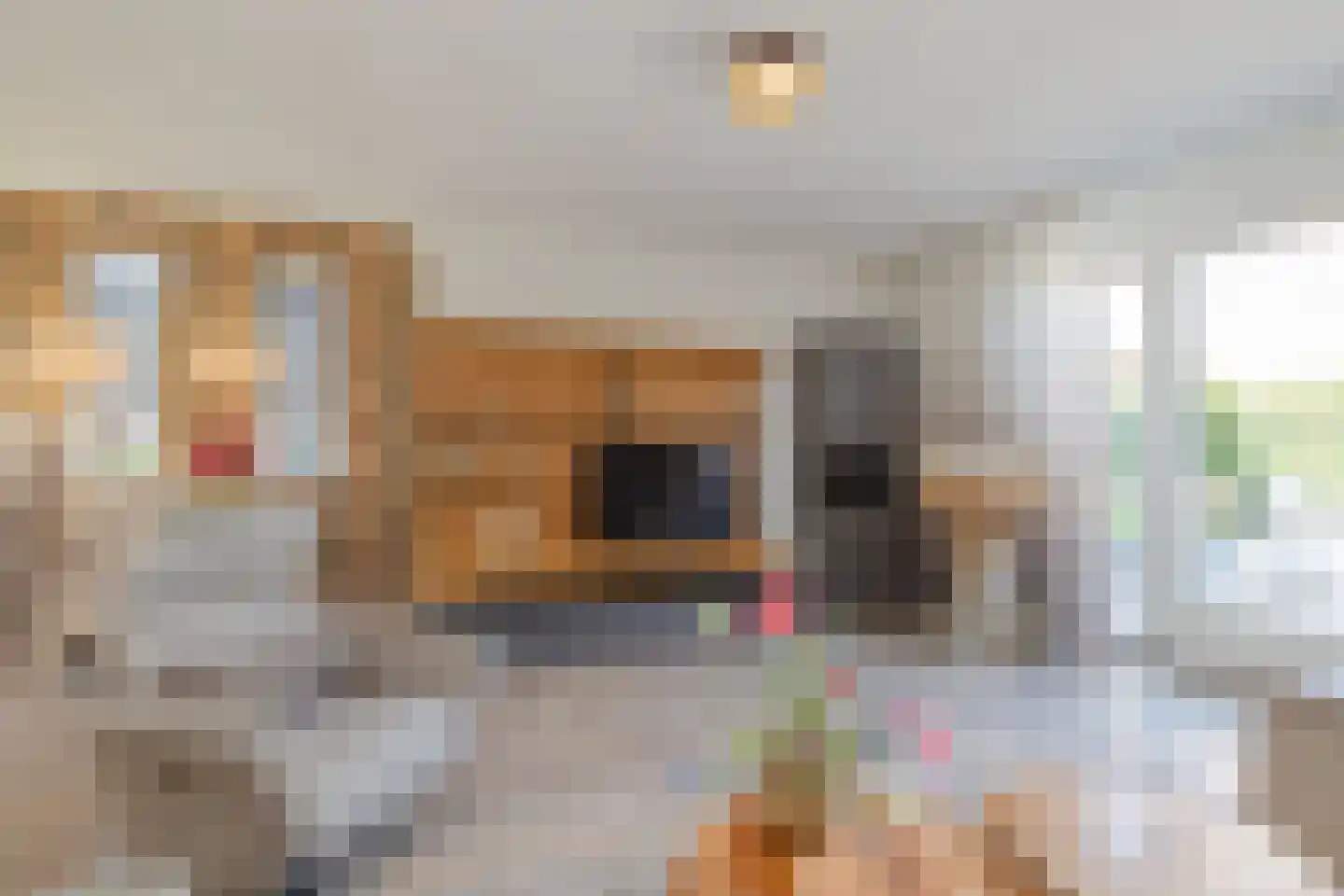 Vrijheidslaan 22 Hillegom thumbnail 15