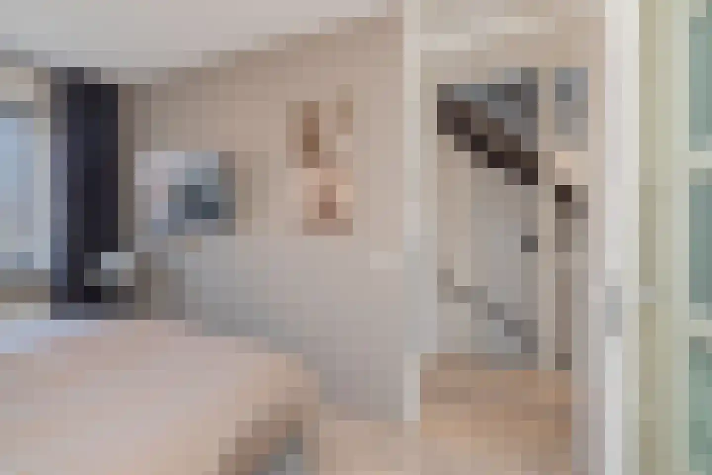 Vrijheidslaan 22 Hillegom thumbnail 39