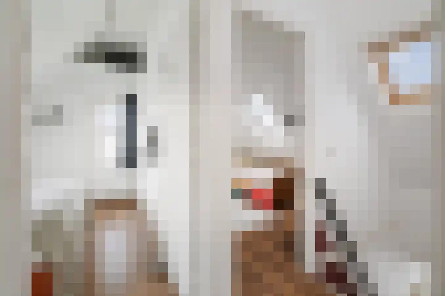 Vrijheidslaan 24 Holten thumbnail 10