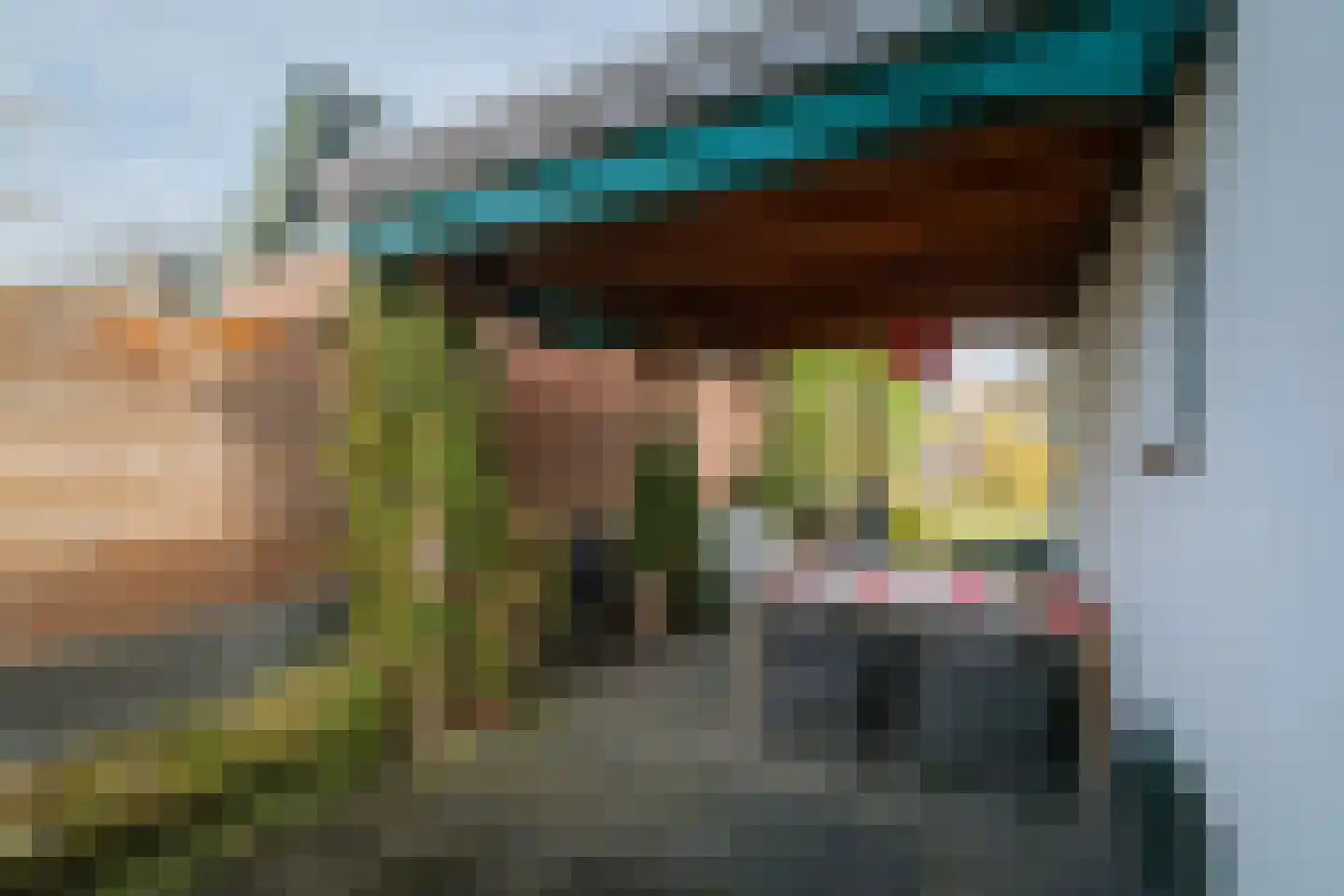 Vrijheidslaan 24 Holten thumbnail 20