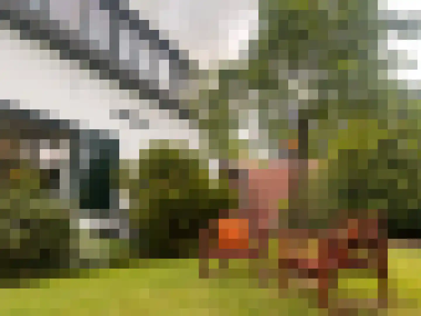 Vrijheidslaan 24 Holten thumbnail 23