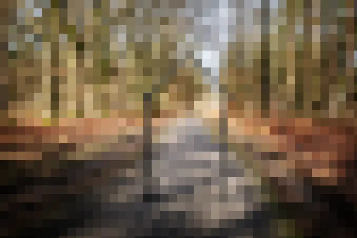 Vrijheidslaan 24 Holten thumbnail 25