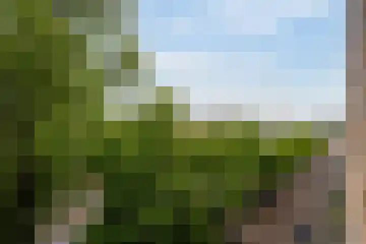 Vrijheidslaan 25 4 Amsterdam thumbnail 19