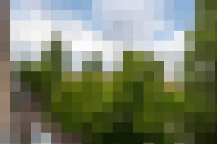 Vrijheidslaan 25 4 Amsterdam thumbnail 20