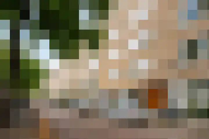 Vrijheidslaan 25 4 Amsterdam thumbnail 21