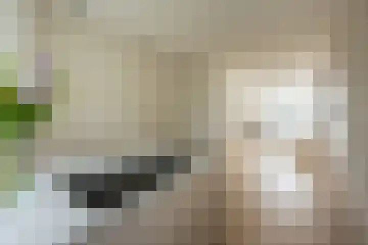 Vrijheidslaan 25 4 Amsterdam thumbnail 8