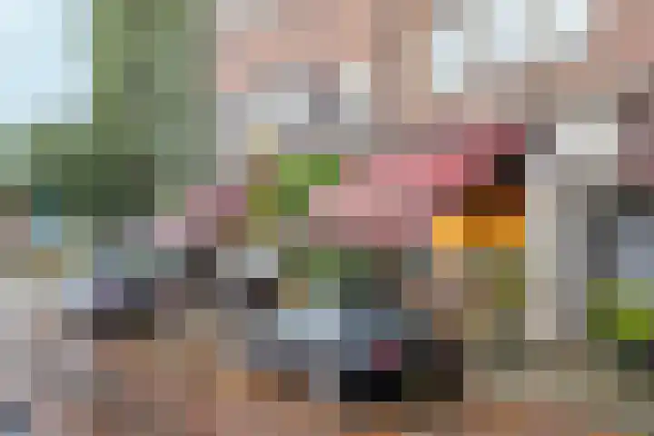 Vrijheidslaan 25 H Amsterdam thumbnail 43