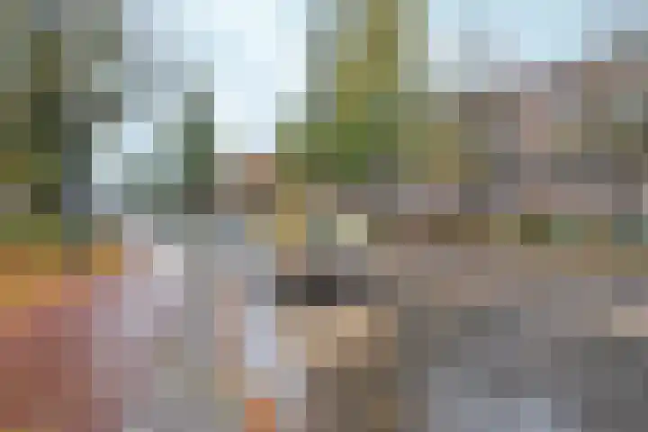 Vrijheidslaan 25 H Amsterdam thumbnail 50
