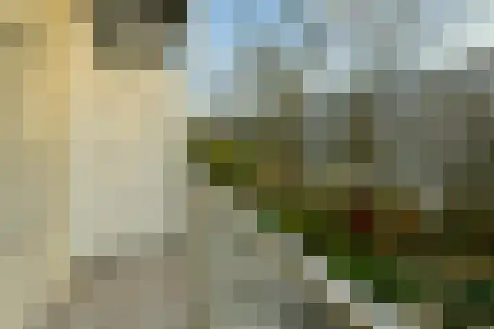 Vrijheidslaan 27 1 Amsterdam thumbnail 4