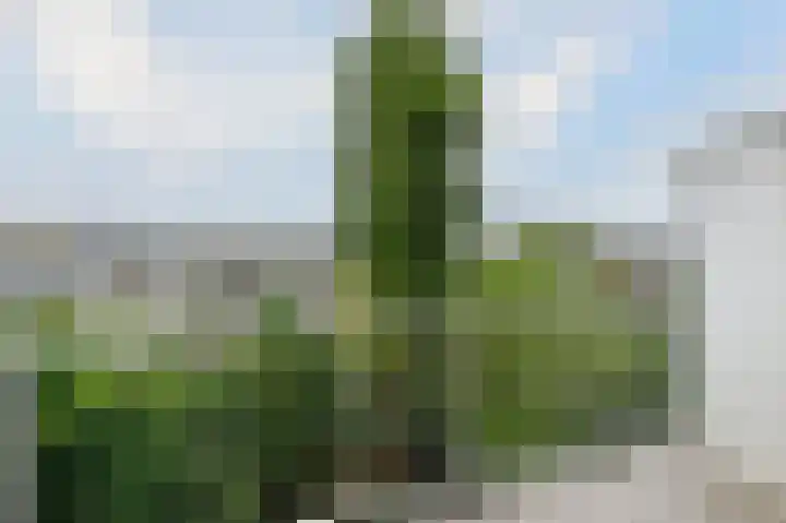 Vrijheidslaan 27 1 Amsterdam thumbnail 8