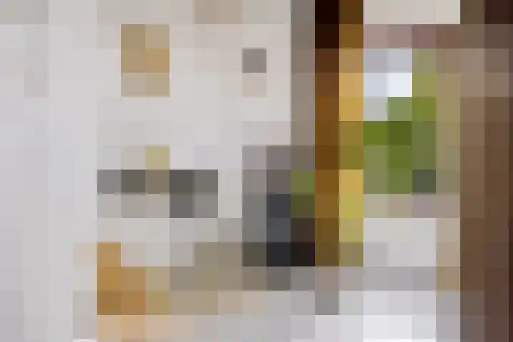 Vrijheidslaan 27 Nieuwerkerk aan den IJssel thumbnail 14