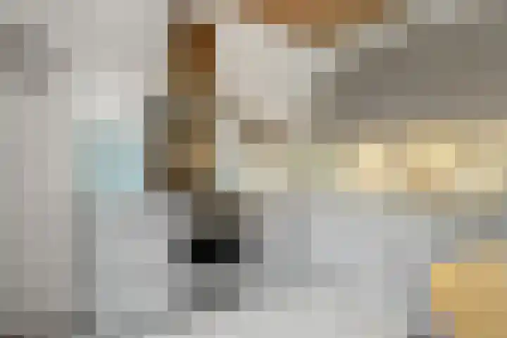 Vrijheidslaan 27 Nieuwerkerk aan den IJssel thumbnail 15