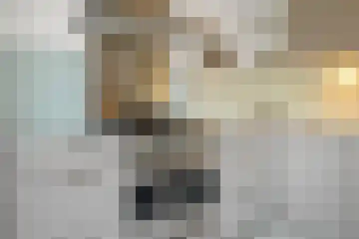 Vrijheidslaan 27 Nieuwerkerk aan den IJssel thumbnail 16