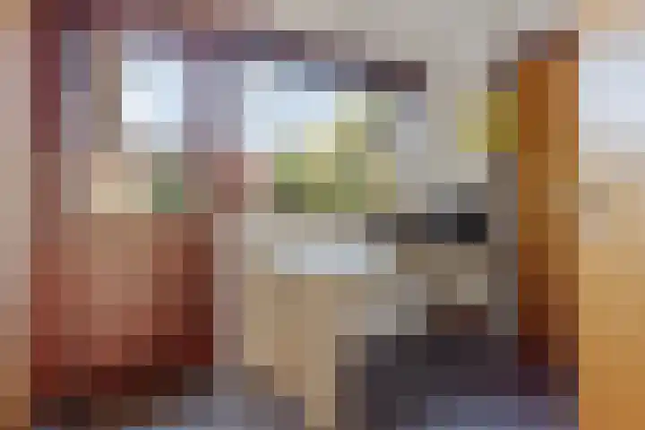 Vrijheidslaan 27 Nieuwerkerk aan den IJssel thumbnail 18