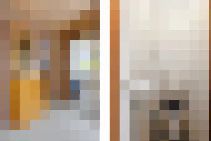 Vrijheidslaan 27 Nieuwerkerk aan den IJssel thumbnail 32