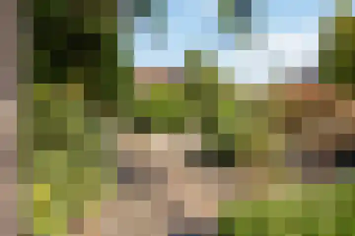 Vrijheidslaan 27 Nieuwerkerk aan den IJssel thumbnail 4