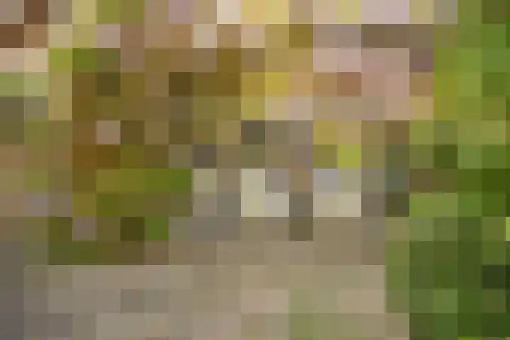Vrijheidslaan 27 Nieuwerkerk aan den IJssel thumbnail 40