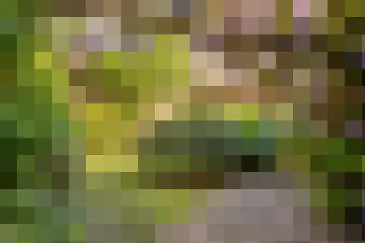 Vrijheidslaan 27 Nieuwerkerk aan den IJssel thumbnail 41