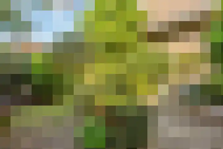 Vrijheidslaan 27 Nieuwerkerk aan den IJssel thumbnail 42