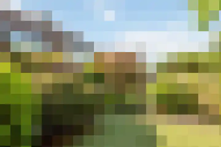 Vrijheidslaan 27 Nieuwerkerk aan den IJssel thumbnail 43