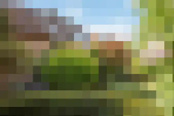 Vrijheidslaan 27 Nieuwerkerk aan den IJssel thumbnail 44