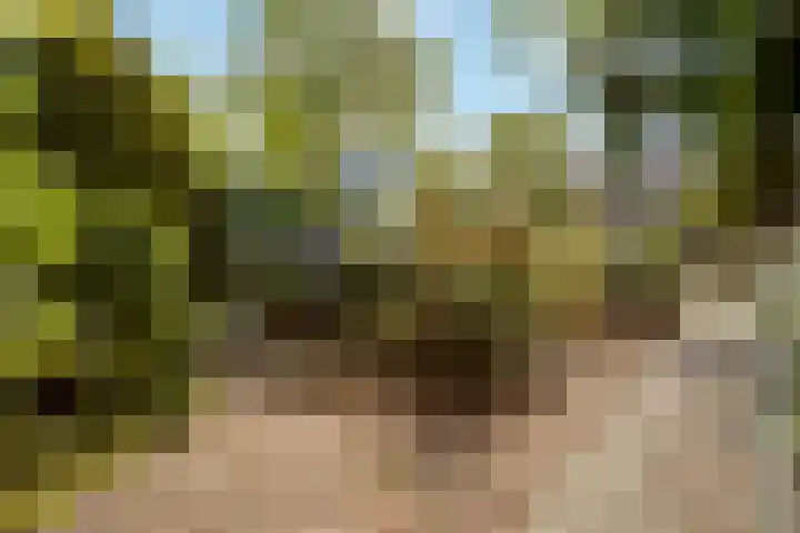 Vrijheidslaan 27 Nieuwerkerk aan den IJssel thumbnail 46