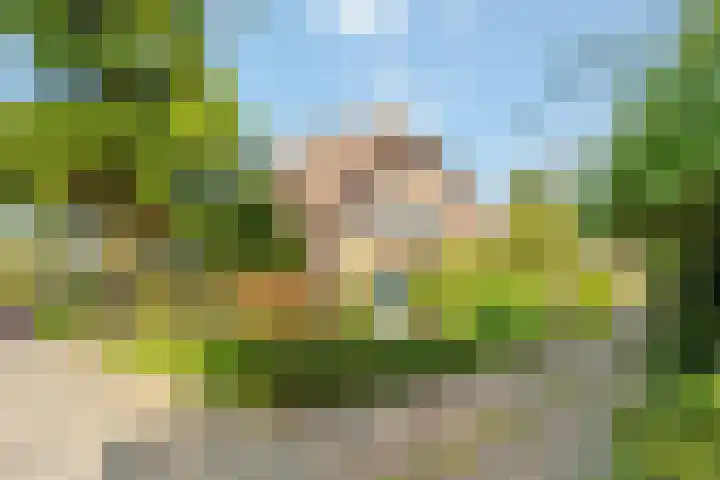 Vrijheidslaan 27 Nieuwerkerk aan den IJssel thumbnail 54