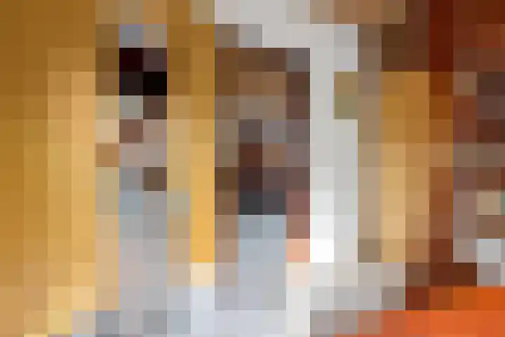 Vrijheidslaan 27 Nieuwerkerk aan den IJssel thumbnail 6
