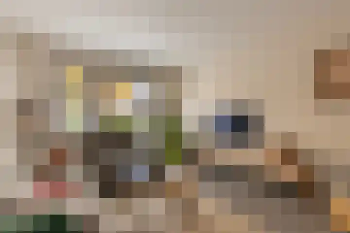 Vrijheidslaan 3 Lopik thumbnail 11