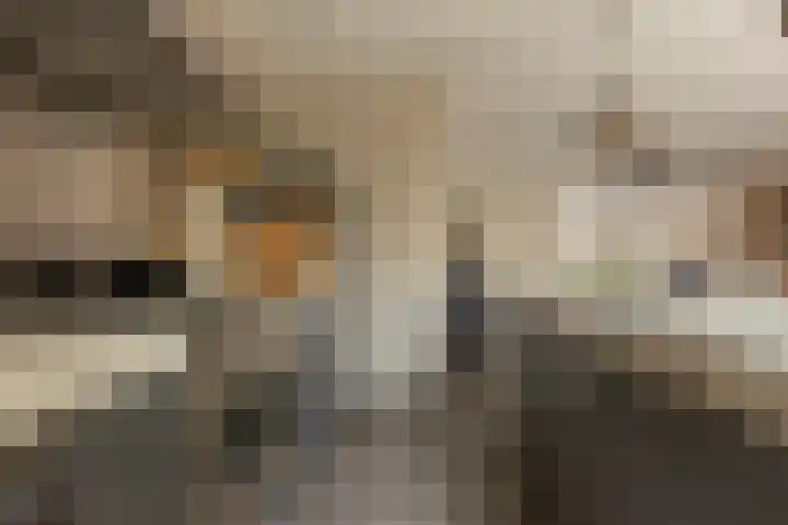 Vrijheidslaan 3 Lopik thumbnail 24