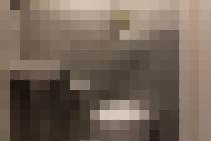 Vrijheidslaan 3 Lopik thumbnail 27