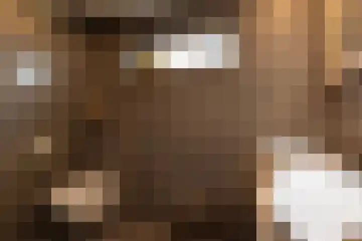 Vrijheidslaan 3 Lopik thumbnail 32