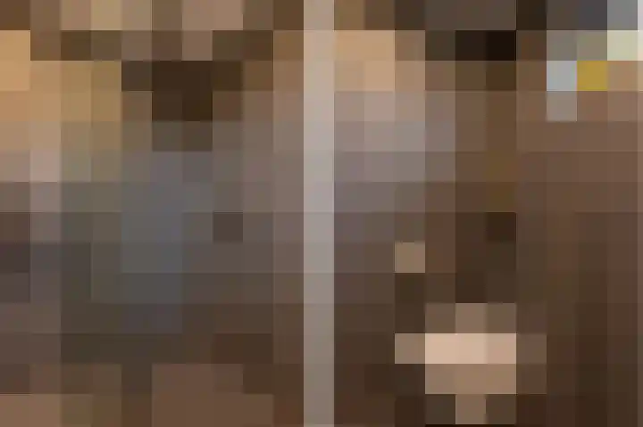 Vrijheidslaan 3 Lopik thumbnail 33