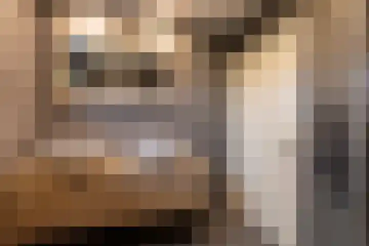 Vrijheidslaan 3 Lopik thumbnail 34