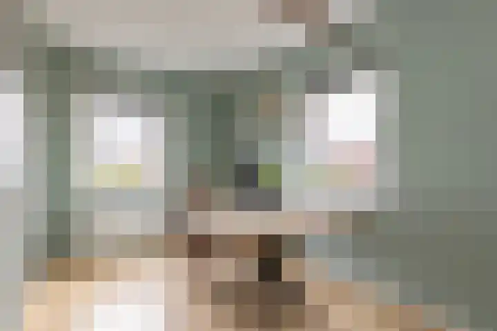 Vrijheidslaan 3 Lopik thumbnail 35