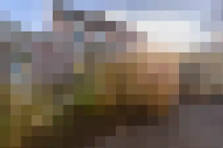 Vrijheidslaan 3 Lopik thumbnail 4